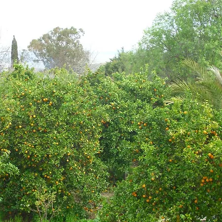 Valencia Grove Villa Miliou Room photo